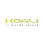 Koali by Morel